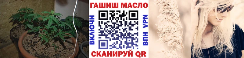 ТГК концентрат блэк спрут маркетплейс Козьмодемьянск маркетплейс клад даркнет сайт