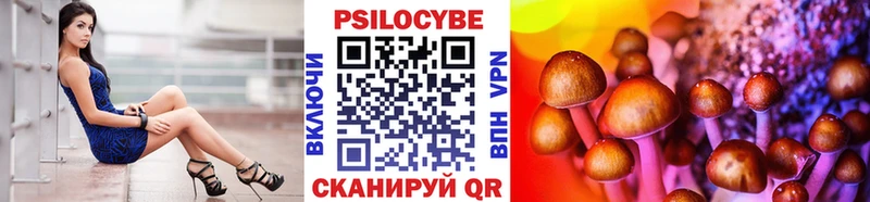 Псилоцибиновые грибы Psilocybine cubensis Козьмодемьянск